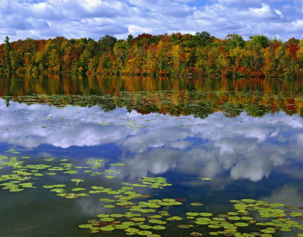 Canada, Ontario Park Haven Lake in autumn art print by Dennis Flaherty for $57.95 CAD
